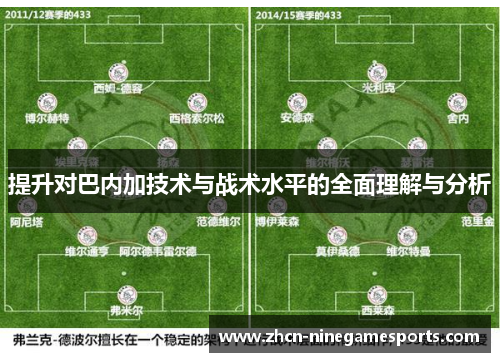 提升对巴内加技术与战术水平的全面理解与分析